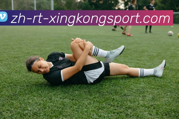 星空体育APP 封面图